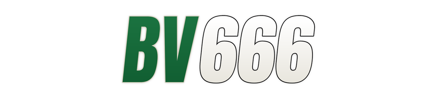 bv666 লোগো